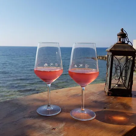 La Terrazza Su - Monaco 度假居